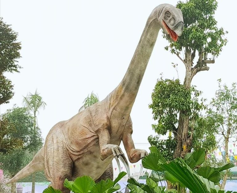 công viên khủng long ninh bình