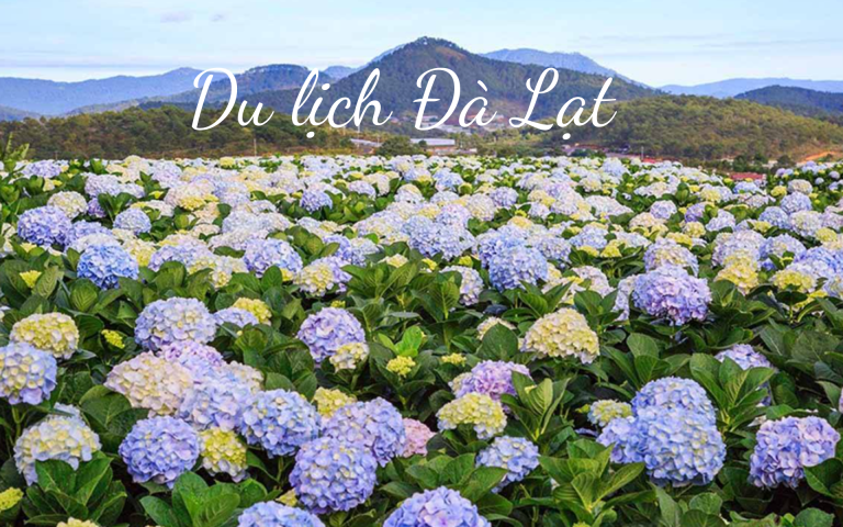 Bật Mí Kinh Nghiệm Đi Du Lịch Đà Lạt Tự Túc 2023 từ A – Z