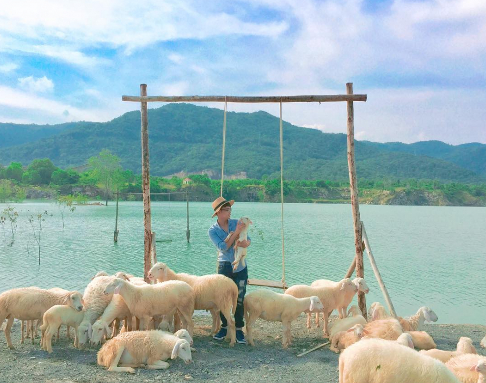 Bầy cừu Hồ Đá Xanh