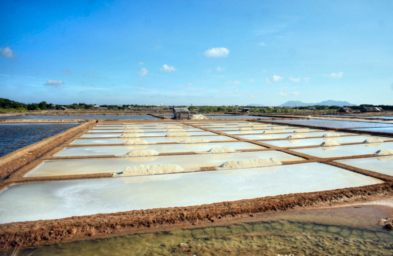 Ruộng muối Long Sơn
