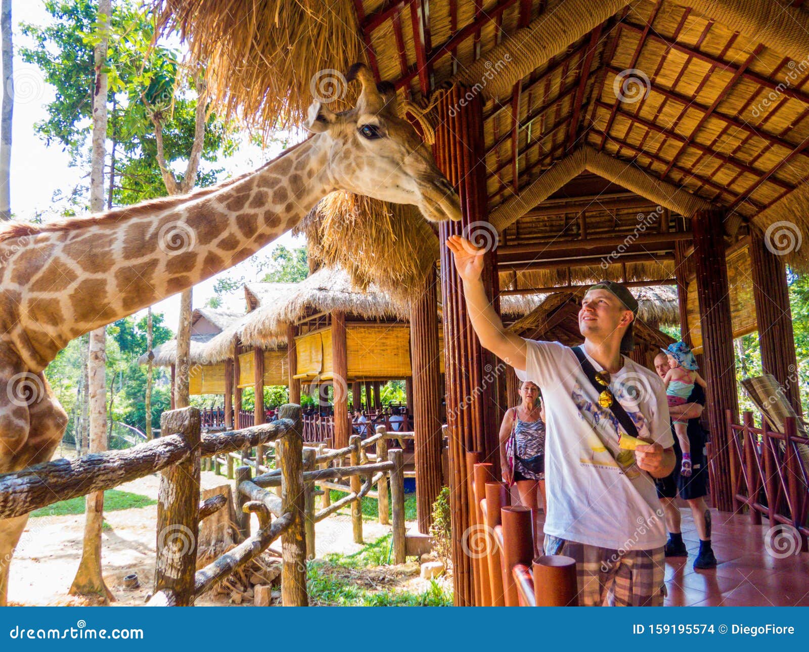 Safari Phú Quốc Khám phá Khu vườn thú Vinpearl đầy độc đáo