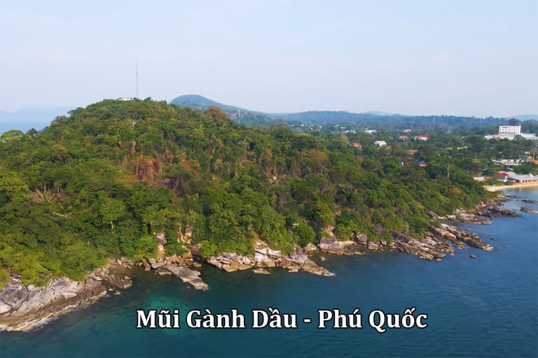 Phú Quốc Có Gì Chơi? Top 6 Địa Điểm Bạn Không Thể Bỏ Lỡ!